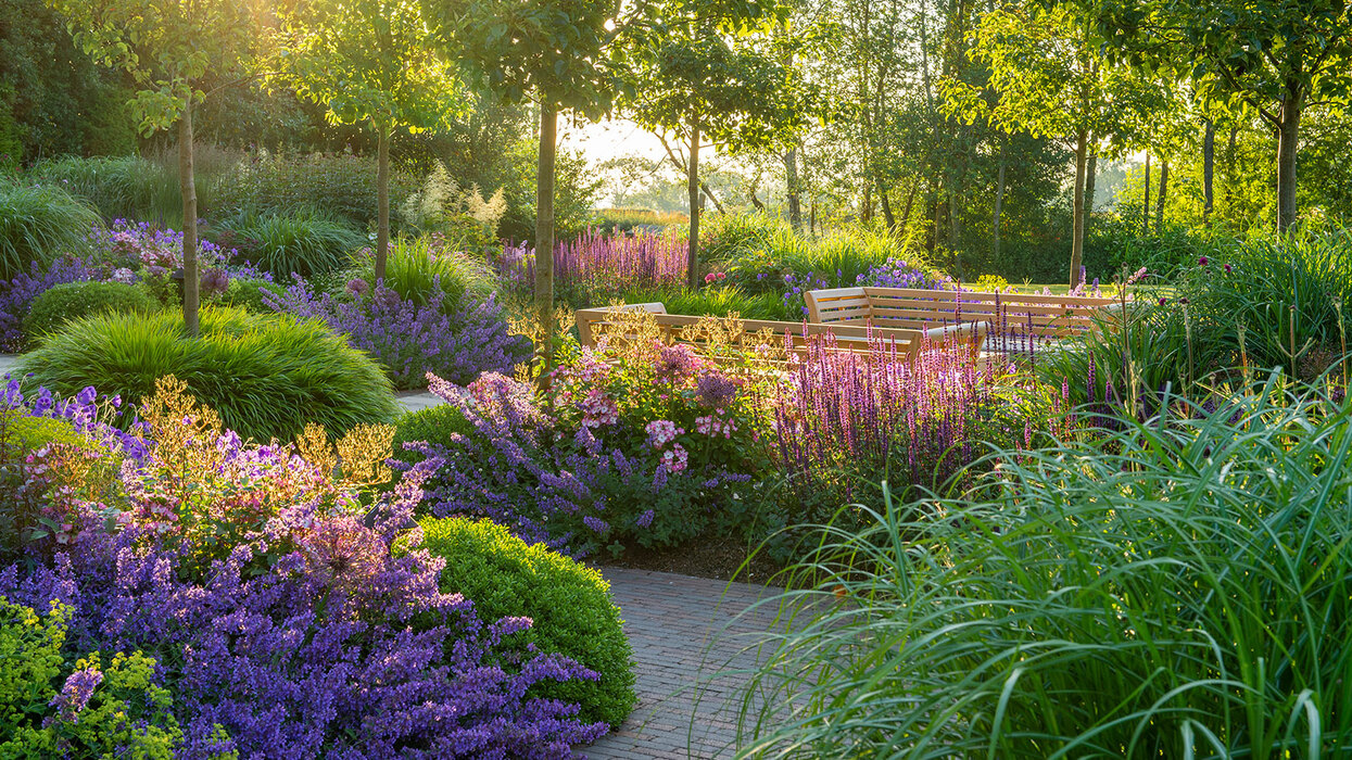 We Love Plants - Garden Design by Nic Howard