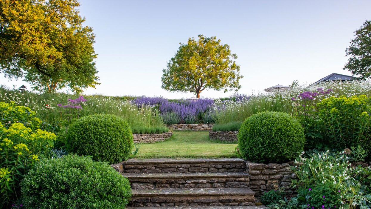 Fi Boyle Garden Design